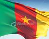 Flag of Cameroon