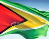 Flag of Guyana