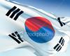 Flag of South Korea