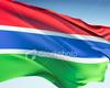 Flag of The Gambia